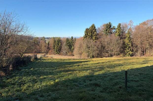 Grundstück kaufen in 8076 Vasoldsberg (Bild 5)