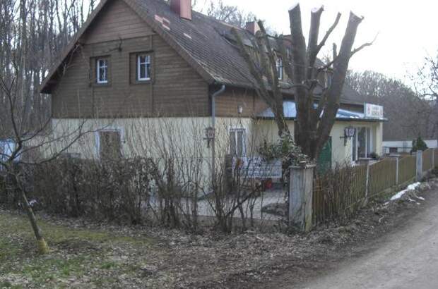 Einfamilienhaus kaufen in 2391 Kaltenleutgeben (Bild 1)