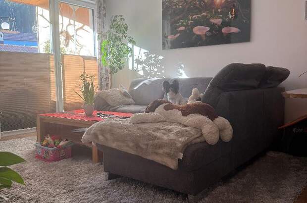 Wohnung kaufen in 6405 Pfaffenhofen (Bild 2)