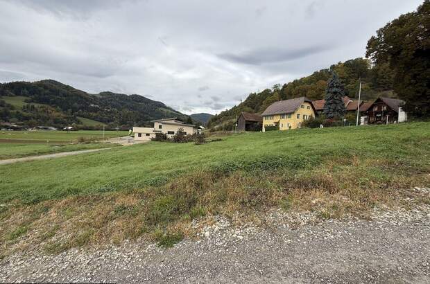 Grundstück kaufen in 8121 Prenning (Bild 4)