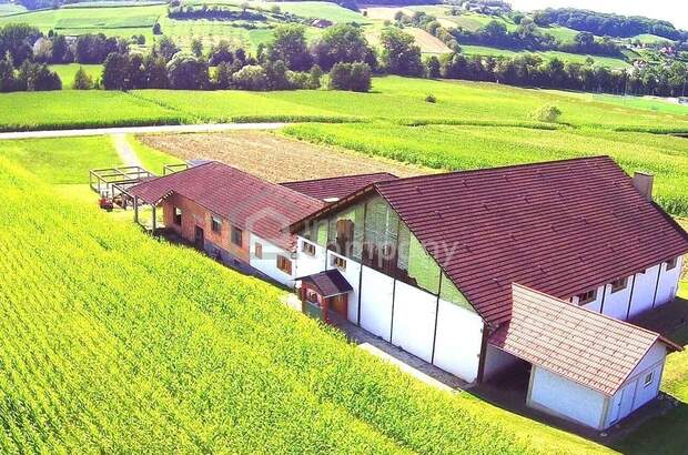Haus mit Garten kaufen in 8342 Gnas (Bild 4)