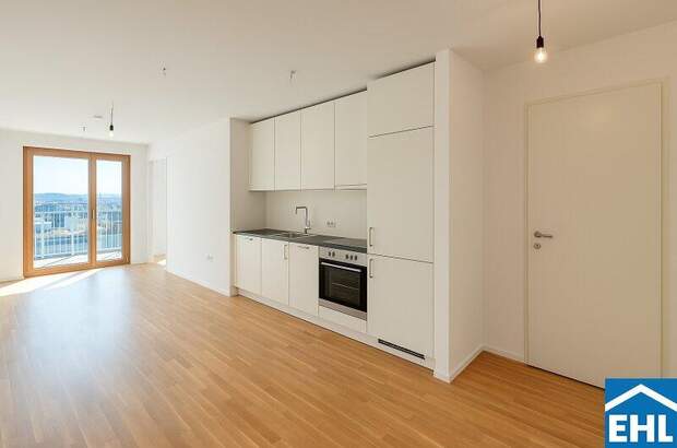 Terrassenwohnung mieten in 1100 Wien (Bild 2)