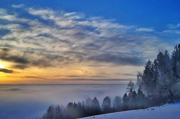 Gewerbeobjekt kaufen in 2852 Gschaidt