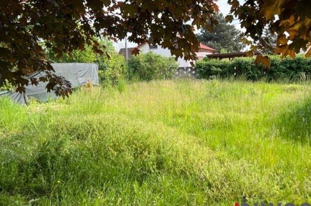 Grundstück kaufen in 2201 Kapellerfeld (Bild 4)