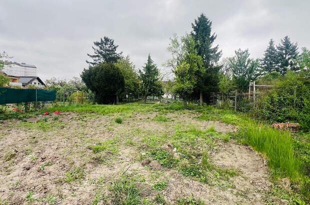 Grundstück kaufen in 2100 Korneuburg (Bild 2)