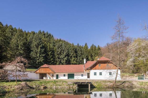 Haus mieten in 3386 Hafnerbach (Bild 1)