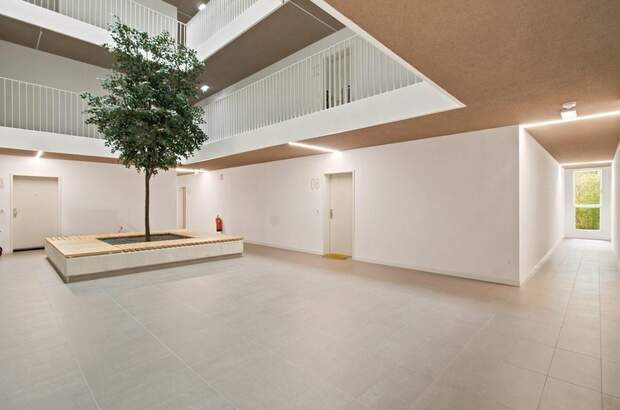 Terrassenwohnung kaufen in 1230 Wien (Bild 3)