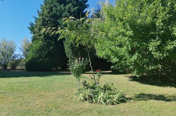 Haus kaufen in 8280 Fürstenfeld (Bild 5)