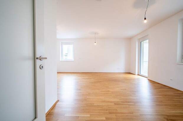 Terrassenwohnung kaufen in 3250 Wieselburg (Bild 4)