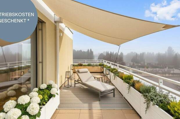 Anlageobjekt kaufen in 2540 Bad Vöslau (Bild 1)