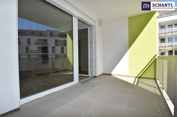 Terrassenwohnung mieten in 2320 Schwechat (Bild 1)