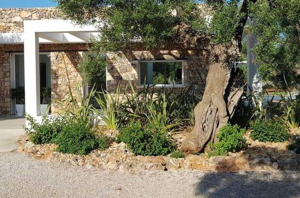 Haus mit Garten kaufen in 73040 Santa Maria di Leuca (Bild 5)