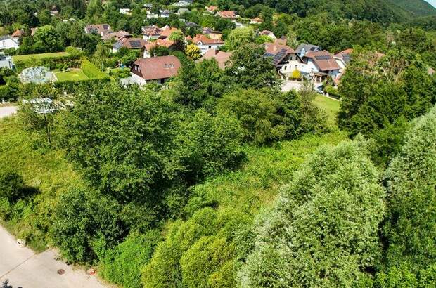 Grundstück kaufen in 3002 Purkersdorf (Bild 3)