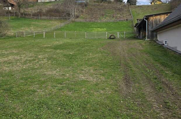 Grundstück kaufen in 8224 Hofkirchen (Bild 4)