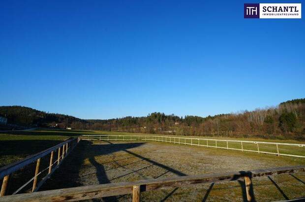 Immobilie kaufen in 8570 Voitsberg (Bild 5)