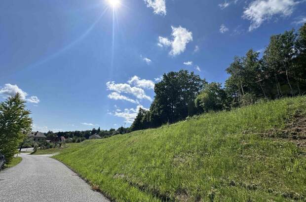 Anlageobjekt kaufen in 8502 Lannach (Bild 5)