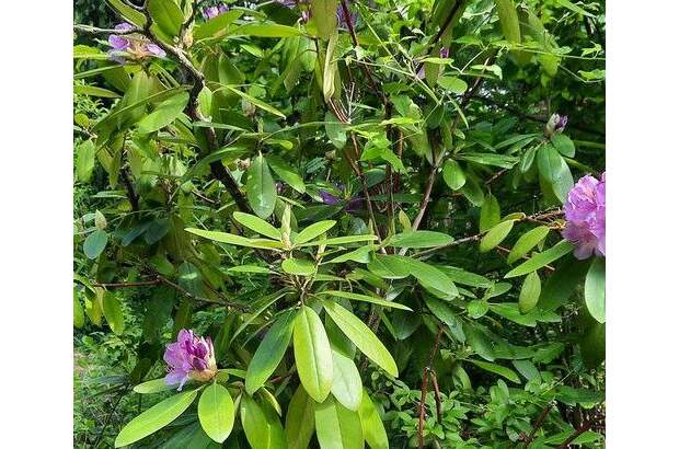 Grundstück kaufen in 3500 Krems (Bild 4)