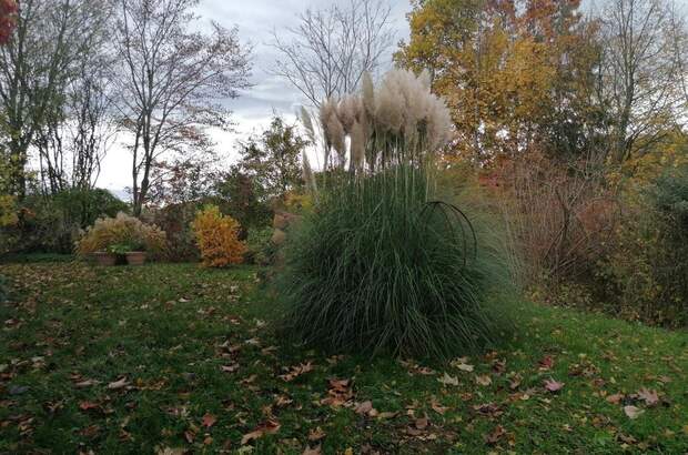 Gewerbeobjekt kaufen in 2214 Sladki Vrh (Bild 5)