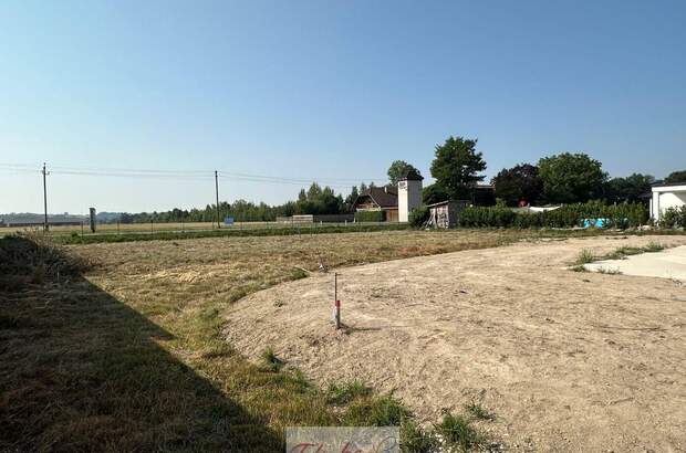 Grundstück kaufen in 4730 Waizenkirchen (Bild 4)