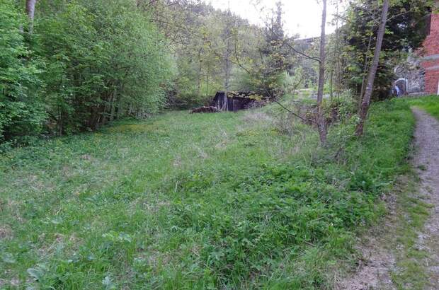 Grundstück kaufen in 4121 Altenfelden (Bild 1)