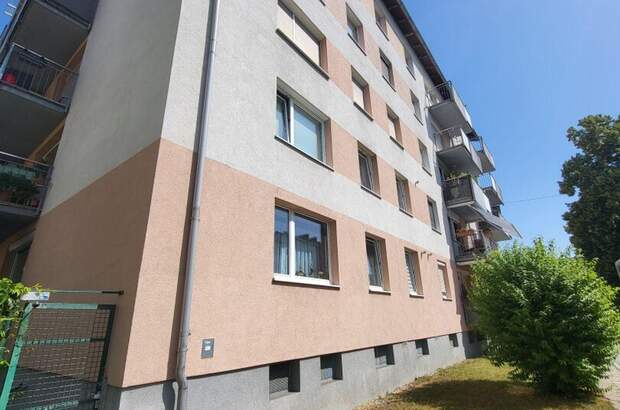 Wohnung mieten in 4600 Wels (Bild 4)