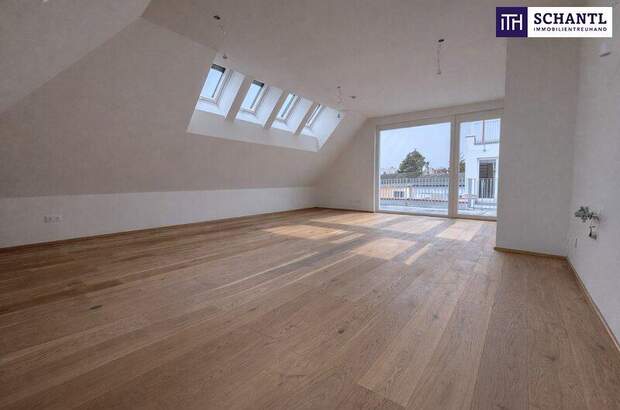 Terrassenwohnung kaufen in 2514 Traiskirchen (Bild 2)