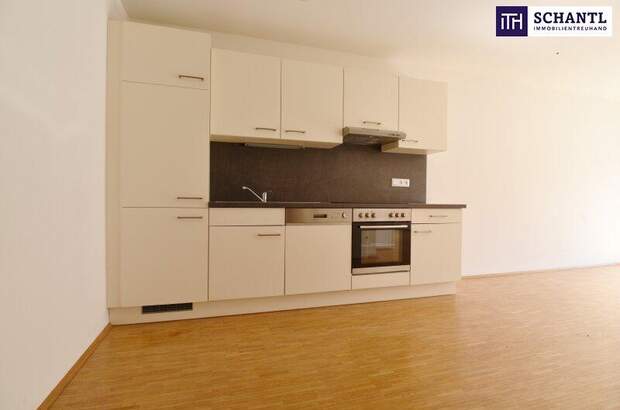 Terrassenwohnung mieten in 8020 Graz (Bild 4)