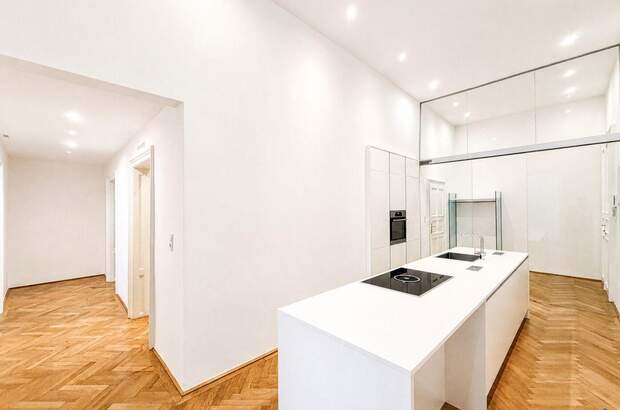 Altbauwohnung mieten in 1010 Wien (Bild 1)