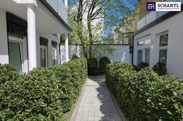 Terrassenwohnung kaufen in 1160 Wien (Bild 2)