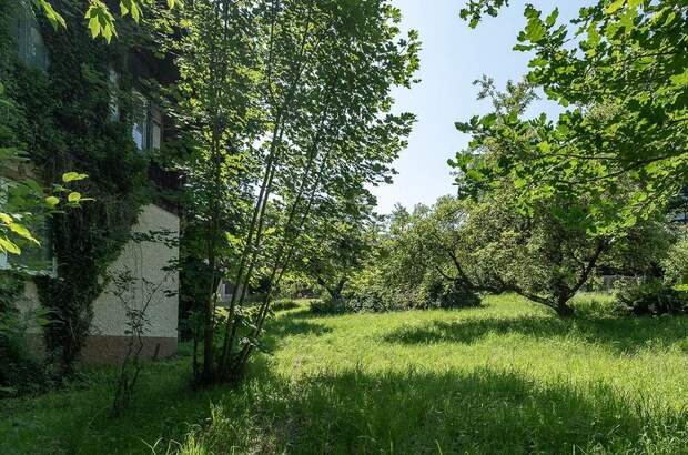 Grundstück kaufen in 4020 Leonding (Bild 4)