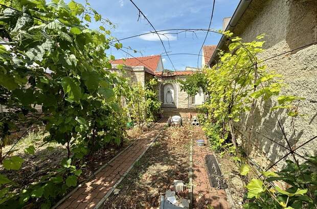 Haus mit Garten kaufen in 2144 Altlichtenwarth (Bild 2)