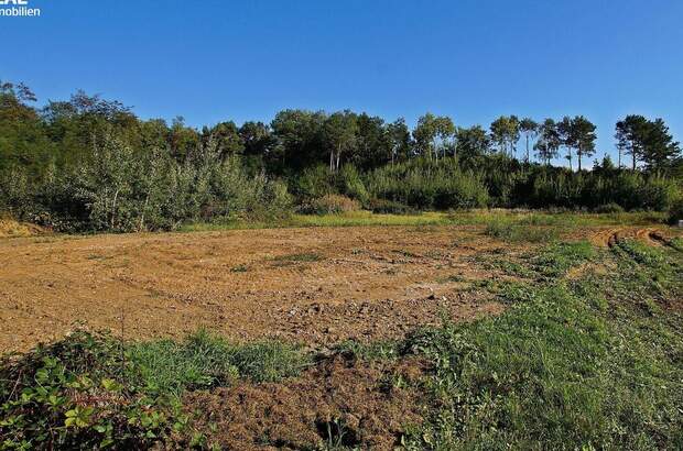 Grundstück kaufen in 7503 Großpetersdorf (Bild 1)