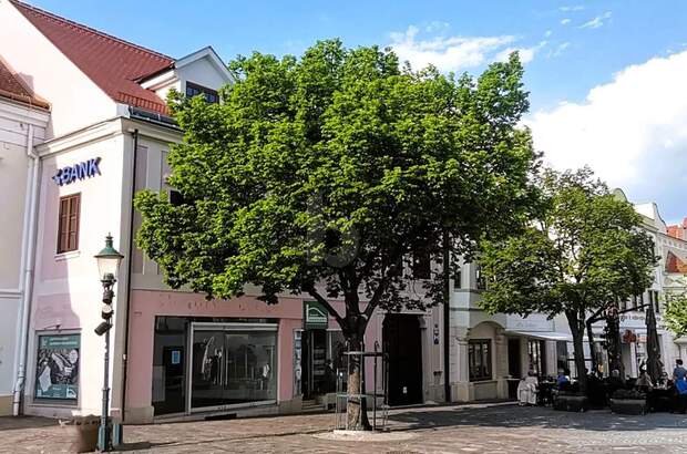 Ladenlokal mieten in 7000 Eisenstadt