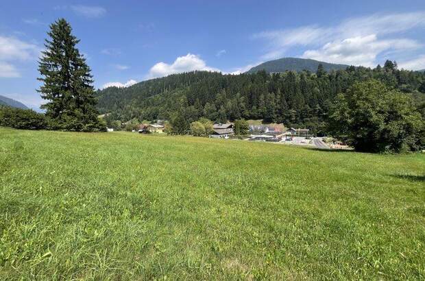 Grundstück kaufen in 9542 Afritz (Bild 1)