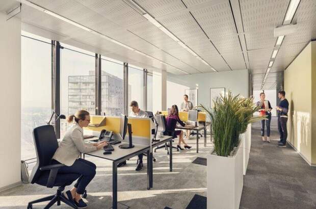 Büro / Praxis mieten in 1100 Wien (Bild 2)