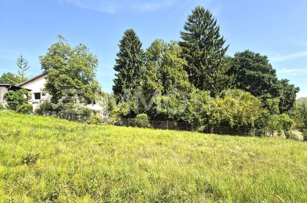 Grundstück kaufen in 4600 Wels (Bild 3)