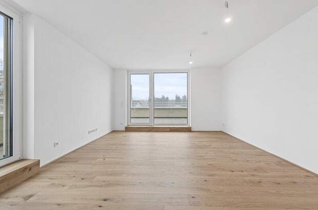 Terrassenwohnung kaufen in 2540 Bad Vöslau (Bild 5)