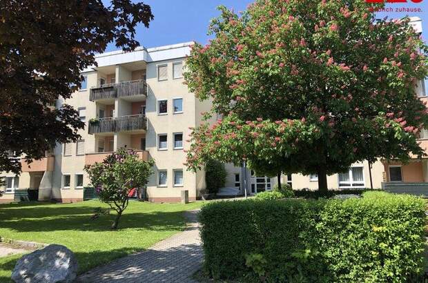 Terrassenwohnung mieten in 4400 Steyr (Bild 1)