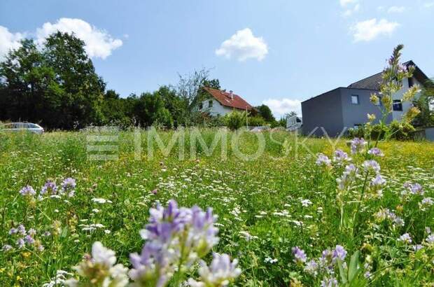 Grundstück kaufen in 4616 Weißkirchen