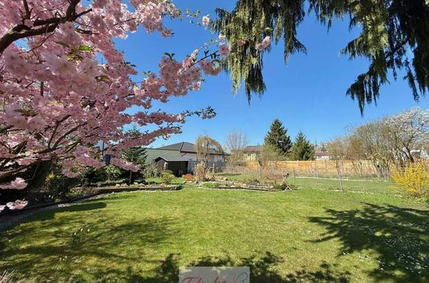 Haus kaufen in 4600 Wels (Bild 2)