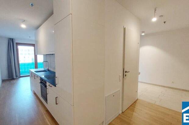 Terrassenwohnung mieten in 1100 Wien (Bild 2)