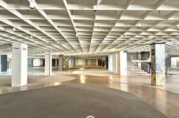 Gewerbeobjekt mieten in 4020 Linz (Bild 4)