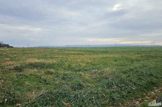 Grundstück kaufen in 2433 Margarethen (Bild 1)