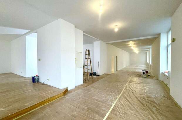 Gewerbeobjekt mieten in 1090 Wien (Bild 2)