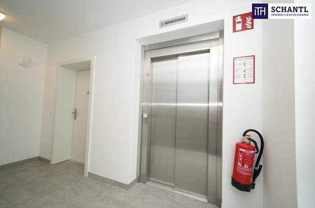 Terrassenwohnung mieten in 8073 Feldkirchen (Bild 3)