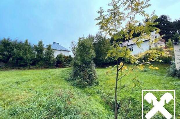 Grundstück kaufen in 2733 Grünbach (Bild 2)