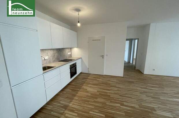 Terrassenwohnung mieten in 1230 Wien (Bild 2)