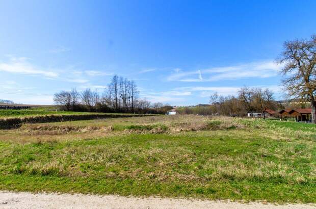 Gewerbeobjekt kaufen in 4631 Krenglbach (Bild 1)