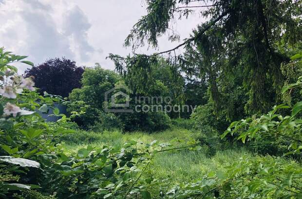 Grundstück kaufen in 2440 Mitterndorf (Bild 1)
