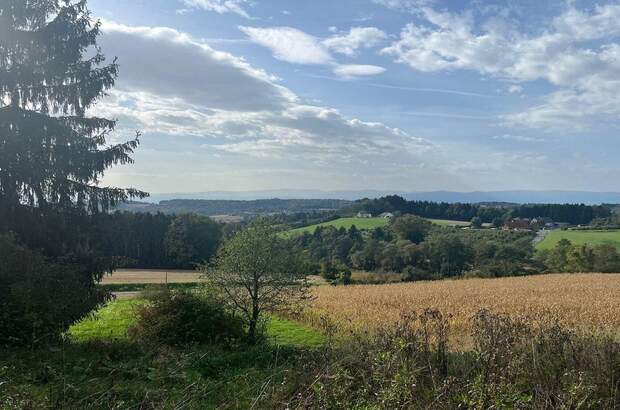 Grundstück kaufen in 8410 Allerheiligen (Bild 1)